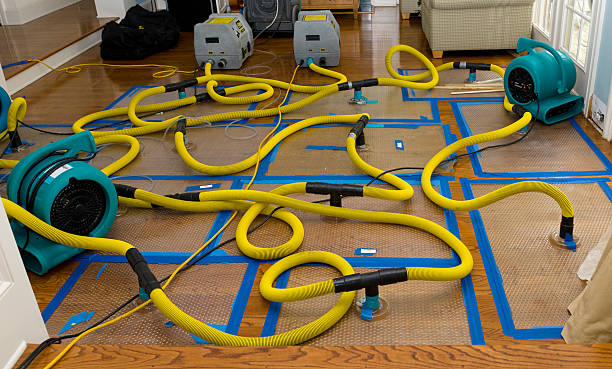 Professional Water Extraction technician working in Newman, CA